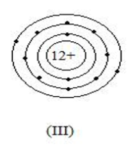 Cho biết số p, số e, số lớp e và số e lớp ngoài cùng của (I) A. Số p = số e = 5        Số lớp e = 3        Số e lớp ngoài cùng =3 (ảnh 1)