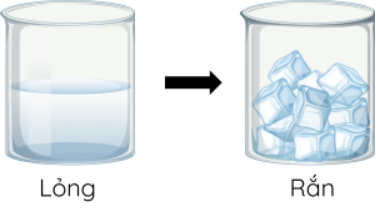 Hình ảnh dưới đây mô tả quá trình nào? (ảnh 1)