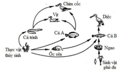 Cho sơ đồ lưới thức ăn trong hệ sinh thái như (ảnh 1)