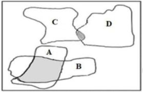 Hình bên mô tả ổ sinh thái dinh dưỡng của bốn (ảnh 1)