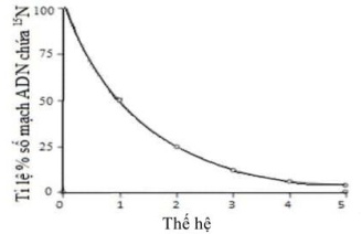Một nhóm nghiên cứu đã nuôi một số vi khuẩn (ảnh 1)