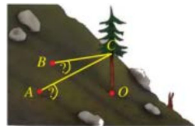 Khi đó, góc tạo bởi sợi dây neo CA và mặt phẳng sườn núi là bao nhiêu độ (làm tròn kết quả đến hàng đơn vị của độ). (ảnh 1)