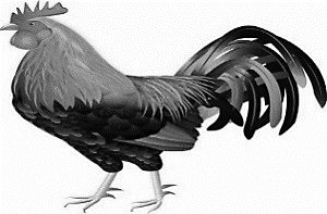 Hãy liệt kê đặc điểm của những con vật trong bức tranh dưới đây: (ảnh 2)