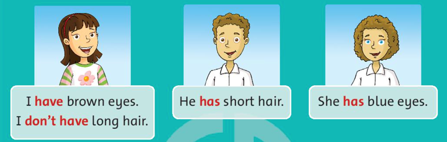 Listen and say (Nghe và nói) I have brown eyes.  (ảnh 1)