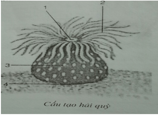 Đề kiểm tra Sinh học 7 có đáp án