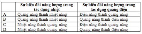 Trong tác dụng nhiệt và tác dụng quang điện của ánh sáng thì có những  biến đổi năng lượng nào? (ảnh 1)