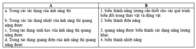 Ghép mỗi phần ở cột A với mỗi phần ở cột B để hoàn thành câu hoàn A. a→3,b→4,c→1,d→2  (ảnh 1)
