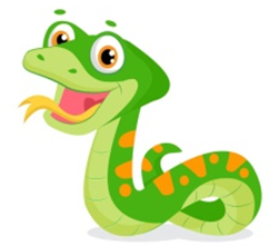 Look and choose: SNAKE. (ảnh 1)