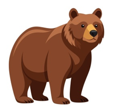 Look and choose: SNAKE. (ảnh 2)