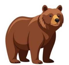 Look and choose: MONKEY. (ảnh 4)