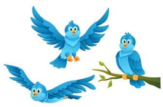 Listen and choose. (ảnh 3)