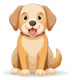 Look, listen, and choose.
 (ảnh 1)