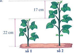 Chiều cao của cây số 2 là:   	 (ảnh 1)