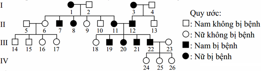 Biết rằng bệnh này do một trong hai alen của một gen quy định và không phát sinh đột biến  (ảnh 1)