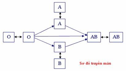 Bộ đề thi Học kì 1 Sinh học 8 có đáp án - Đề 5
