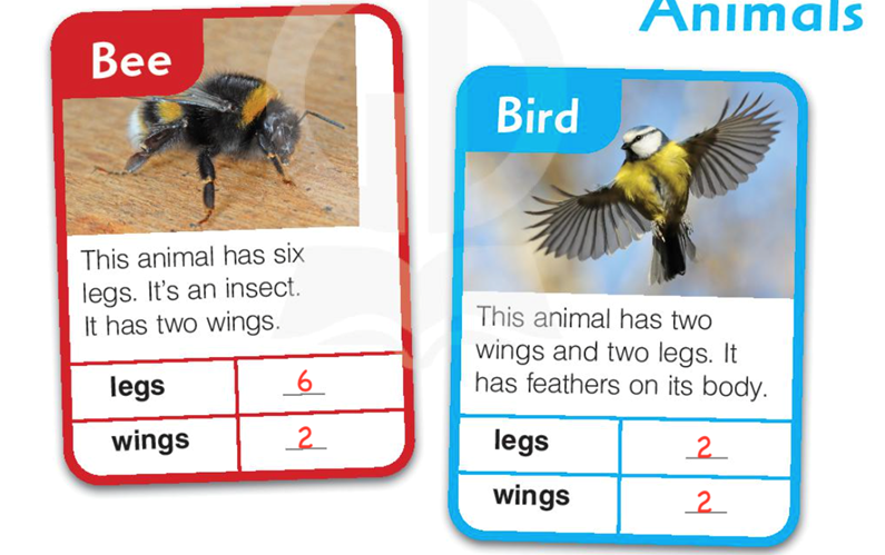 Bài tập Tiếng anh lớp 3 Fluency time 2 Lession 2. ECLIL Science có đáp án