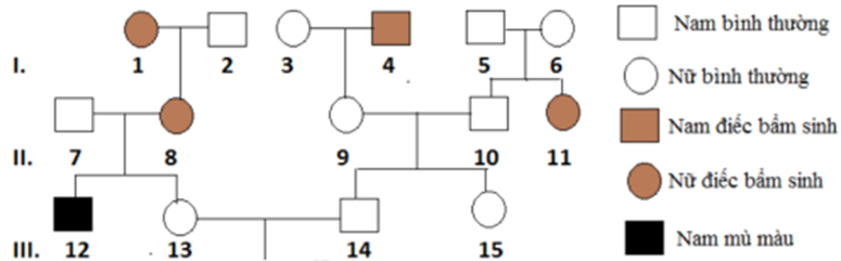 Có bao nhiêu phát biểu đúng về đặc điểm di truyền của bệnh  (ảnh 1)