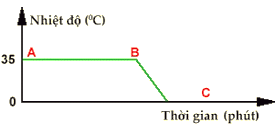 Đề kiểm tra 1 tiết Vật Lí lớp 6 Chương 2 có đáp án (Đề 2)