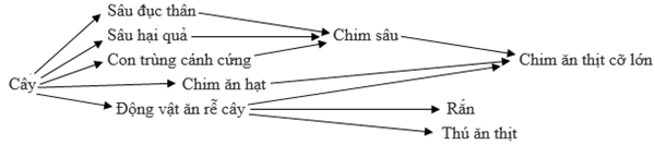 Trắc nghiệm Sinh Học Bài 43 (có đáp án): Trao đổi vật chất trong hệ sinh thái (phần 2)