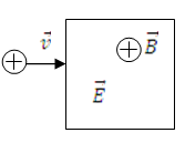 Một proton chuyển động thẳng đều vào trong một miền có điện trường  đều vecto E và từ trường đều vecto B . Vec tơ vận tốc v nằm trong mặt phẳng hình vẽ.  Biết  . Xác định chiều và độ lớn của   để quỹ đạo của hạt vẫn là  đường thẳng. Biết B = 0,025T.v =   m/s. A.   V,   hướng từ dưới lên.	B. 5000V,   hướng từ trên xuống. C. 5000 V,   hướng từ dưới lên.	D.   V,   hướng từ trên xuống. (ảnh 1)
