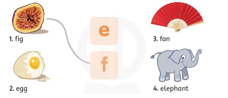 Match the words to the letters (Nối các từ với các chữ cái) (ảnh 1)