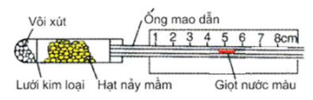 (2023) Đề thi thử Sinh học Liên trường THPT Ninh Bình có đáp án