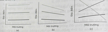 Hình nào dưới đây minh hoạ sự mềm dẻo của đặc điểm kiểu hình trong các điều kiện môi trường khác nhau?   	A. Hình (a).	B. Hình (c).	C. Hình (a) và (c) .	D. Hình (b) và (c). (ảnh 1)