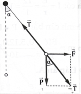 Nếu lấy g = 10 m/s2 thì góc lệch a của dây treo so với phương thẳng đứng là (ảnh 1)