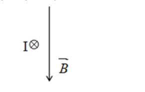 Một dây dẫn thẳng có dòng điện cường độ I chạy qua, được đặt nằm ngang trong vùng không gian có từ trường đều hướng thẳng đứng xuống dưới như hình vẽ.  (ảnh 1)