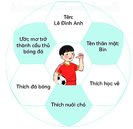  Bạn Đình Anh không giới thiệu gì về mình?  (ảnh 1)