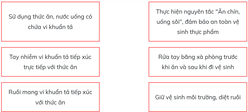 Ghép nối nguyên nhân gây bệnh tả ở cột bên trái với những biện pháp phòng tránh  (ảnh 1)