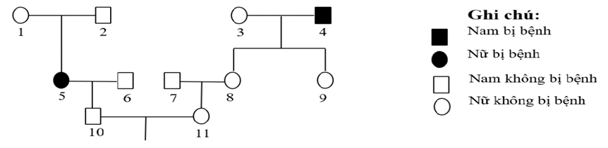 Phả hệ sau đây mô tả sự di truyền của một bệnh ở người do 1 trong 2 alen của 1 gen quy định:  Cho biết quần thể đang cân bằng di truyền và tỉ lệ người bị bệnh ở trong quần thể là 4%; không phát sinh đột biến. Theo lí thuyết, có bao nhiêu phát biểu sau đây đúng? (ảnh 1)