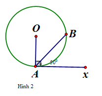 Cho hình 2. Biết góc xAB = 50 độ. Ta có số đo cung nhỏ AB bằng: (ảnh 1)