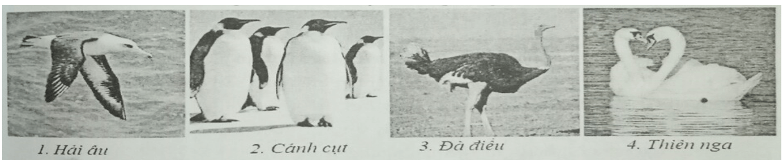 Đề kiểm tra Sinh học 7 có đáp án