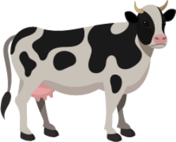  Nguồn cung cấp năng lượng cho hoạt động của bò sữa là (ảnh 1)