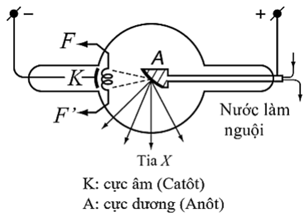 Để chuẩn đoán hình ảnh trong y học người ta thường sử dụng tia X (hay tia Rơn-ghen) để chụp X quang. Coi điện trường giữa hai cực của ống tia X  (ảnh 1)