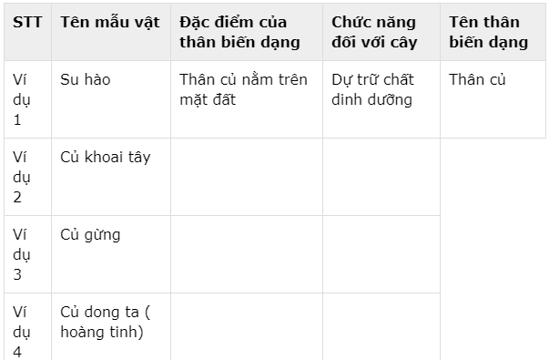 Đề thi Sinh học 6 học kì 1 (Đề 4)