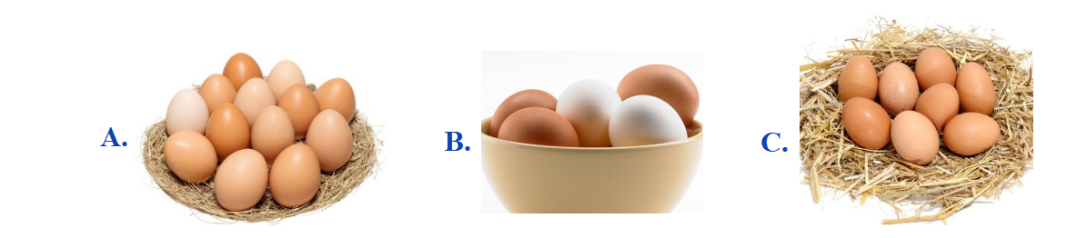 Hỏi có thể bỏ thêm vào giỏ bao nhiêu quả trứng nữa? (ảnh 2)