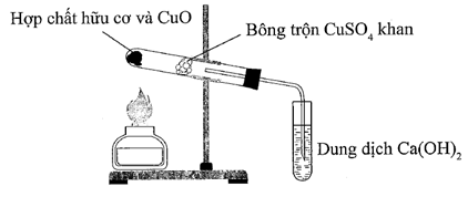 Cho thí nghiệm như hình vẽ: (ảnh 1)