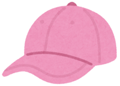 Choose the picture that begins with the letter (ảnh 2)