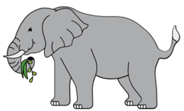 Choose the picture that begins with the letter (ảnh 3)