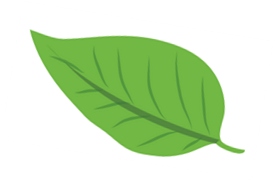 Choose the picture that begins with the letter (ảnh 4)