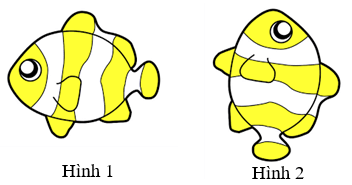 Đề kiểm tra Tin học lớp 5 Học kì 1 có đáp án (Đề 2) | Đề thi Tin học 5 có đáp án