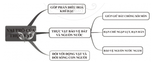 Chủ đề mẹ của chủ đề “ GÓP PHẦN ĐIỀU HÒA KHÍ HẬU” trong sơ đồ tư duy dưới (ảnh 1)