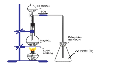 Trắc nghiệm Hóa 11 Bài 6: Sulfur và sulfur dioxide có đáp án