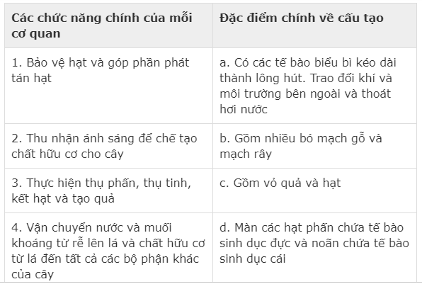 Đề thi giữa kì 2 Sinh học 6 (Đề 5)