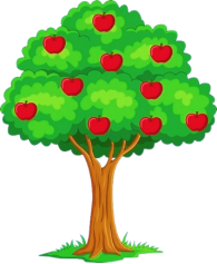 Em hãy chọn đáp án đúng nhất  Trên cây có bao nhiêu quả táo? (ảnh 1)