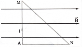 Lực từ tác dụng lên cạnh MN là (ảnh 1)