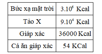 Chuyên đề Sinh 12 Chủ đề 6: Ôn tập và kiểm tra có đáp án