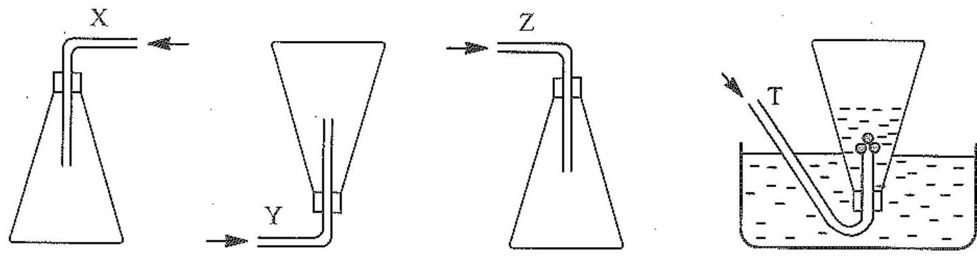 Nhận xét nào sau đây không đúng? (ảnh 1)